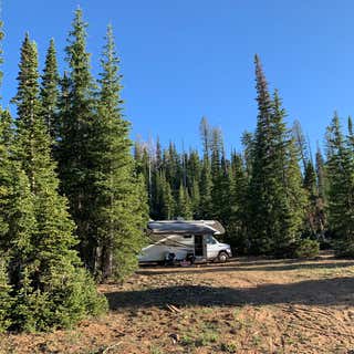 Stout Canyon Dispersed Camping
