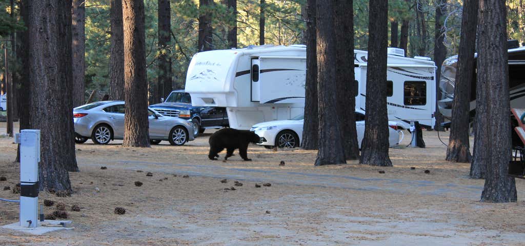 Photo of Tahoe Valley Campground