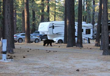 Photo of Tahoe Valley RV Resort & Campground