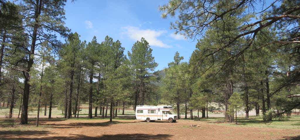 Photo of Dogtown Road Dispersed Camping