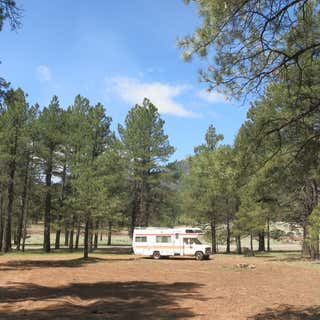 Dogtown Road Dispersed Camping