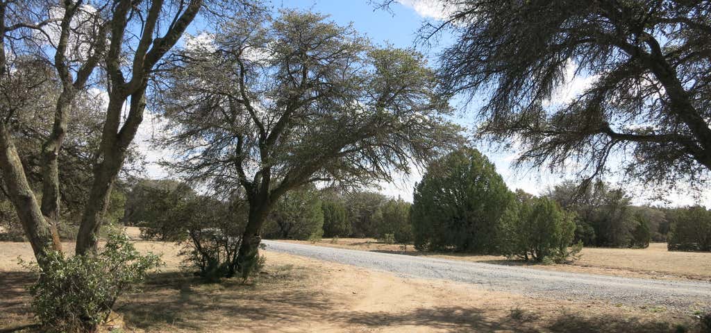 Photo of Cattlemen Trail Dispersed Camping