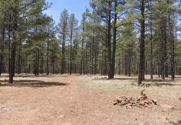 Photo of Forest Road 140