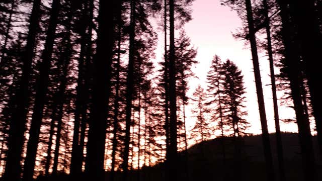 Photo of Middle Waddell Campground