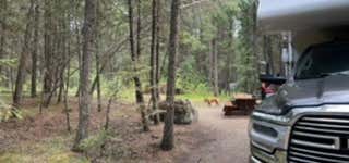 Photo of Lac La Hache Campground