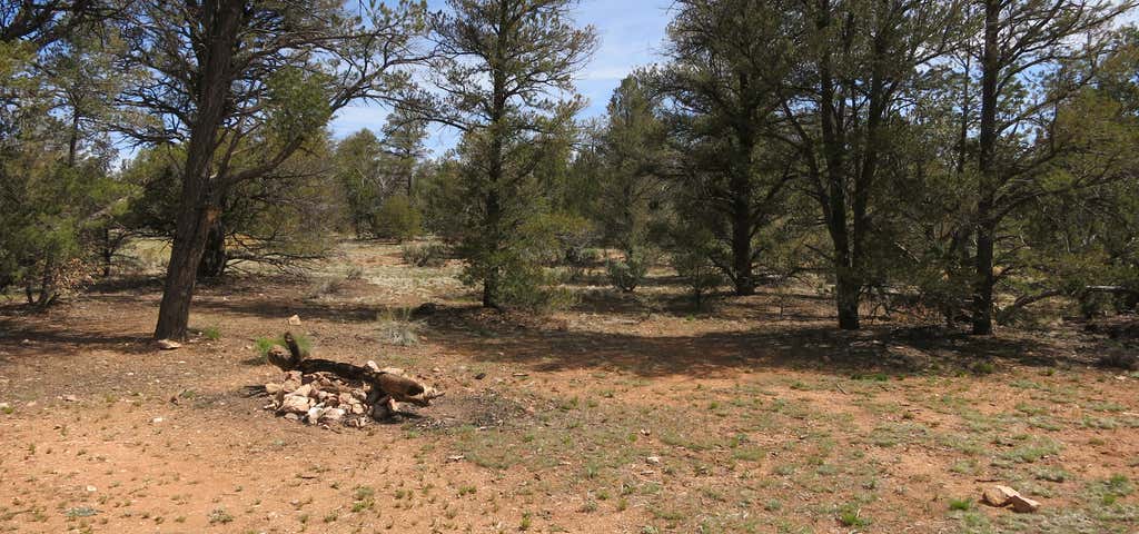 Photo of Forest Road 305 Dispersed Camping