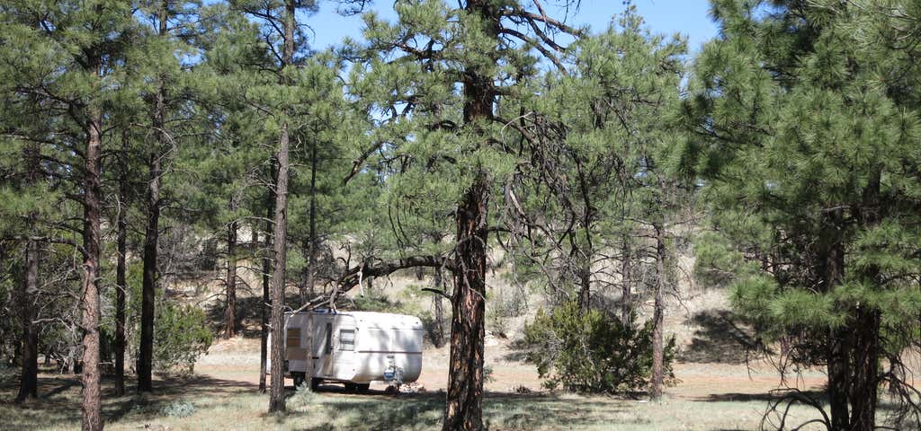 Photo of Grover Spring Canyon Dispersed Camping