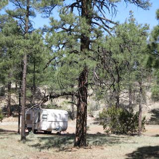 Grover Spring Canyon Dispersed Camping