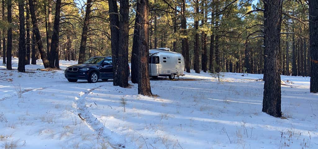 Photo of Forest Road 794 Dispersed Camping
