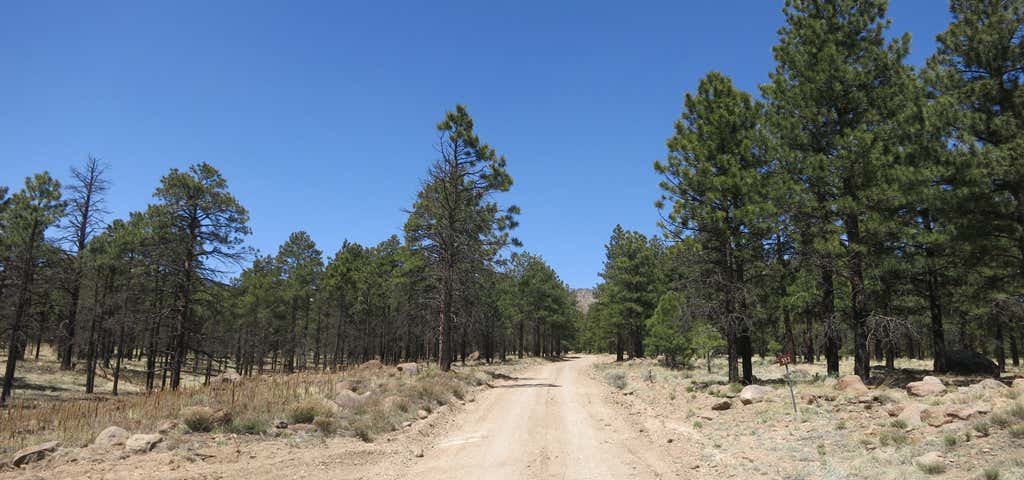 Photo of Forest Road 553