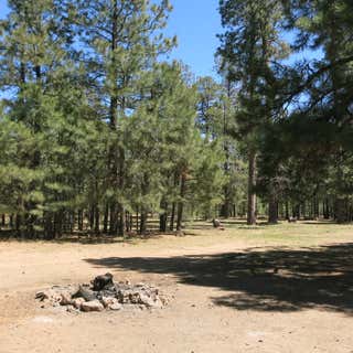 Larson Ridge Designated Dispersed Camping