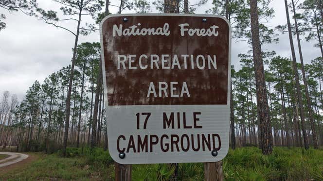 Escape to the Wild: Unplugging at Florida's Seventeen Mile Hunt Camp