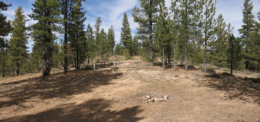 Photo of Whiteman Bench Dispersed Camping