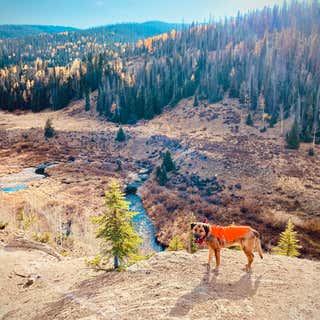 Pass Creek Road Dispersed Camping