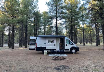 Photo of Forest Road 171 Dispersed Camping