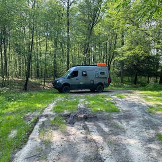 Forest Road 160 Dispersed Camping