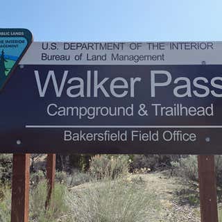 Walker Pass Campground