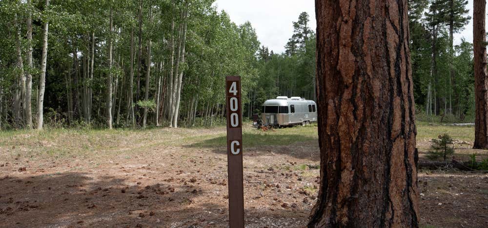 Photo of Forest Road 400 Dispersed Campsite