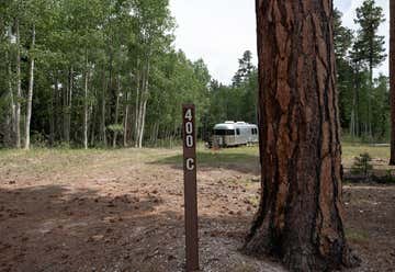 Photo of Forest Road 400 Dispersed Campsite