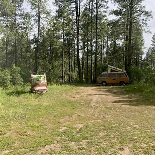 Jackson Mountain Road Dispersed Camping