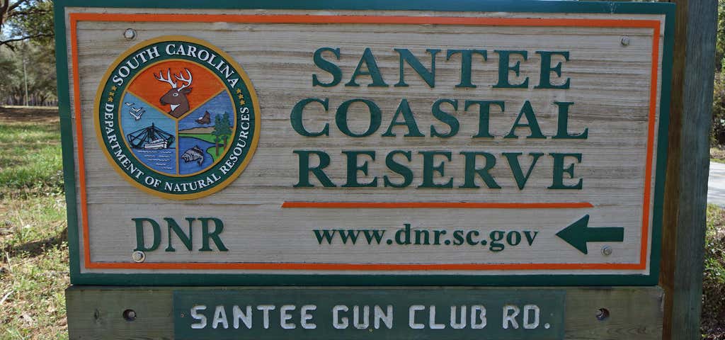 Photo of Santee Coastal Reserve Wildlife Management Area