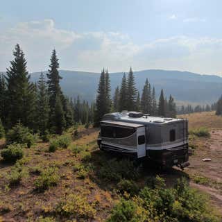 Shrine Pass Road Dispersed Camping