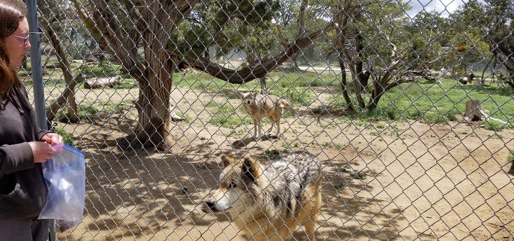 Photo of Wild Spirit Wolf Sanctuary Campground