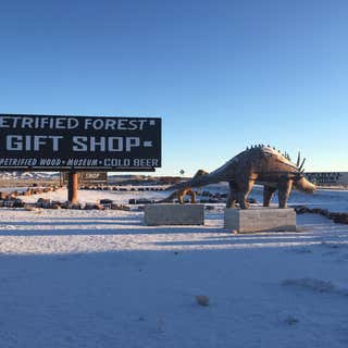 Petrified Forest Gift Shop & RV Park