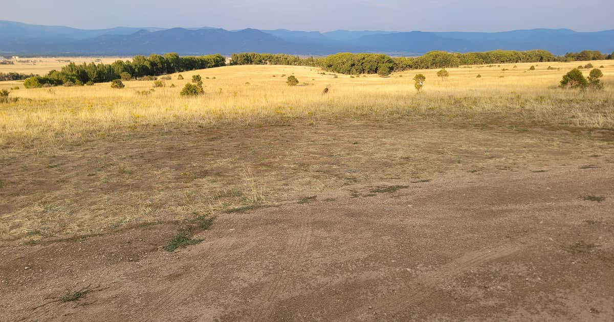 Bald Mountain Dispersed Camping, Buena Vista Roadtrippers