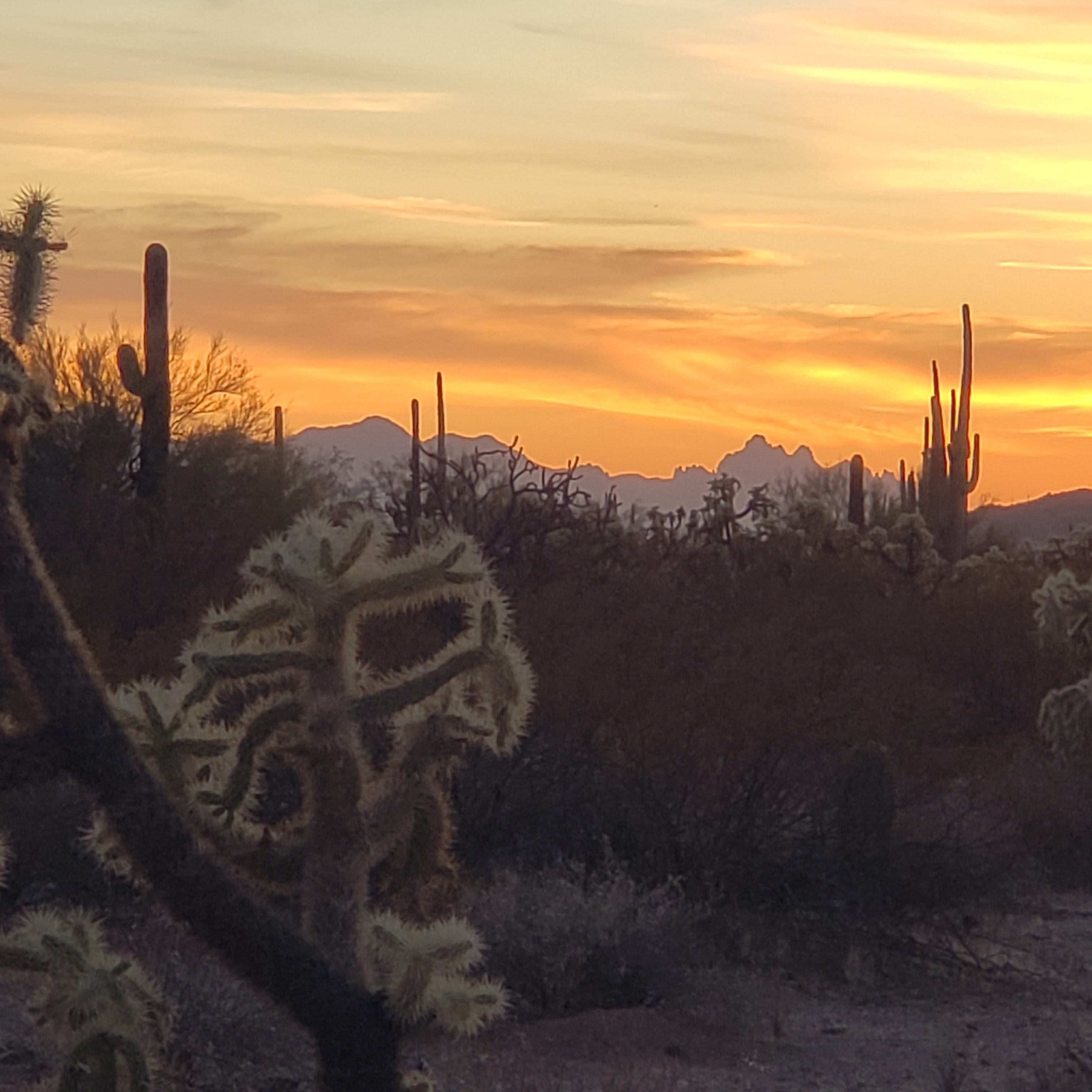 Cattle Tank Road Dispersed Camping, Red Rock | Roadtrippers
