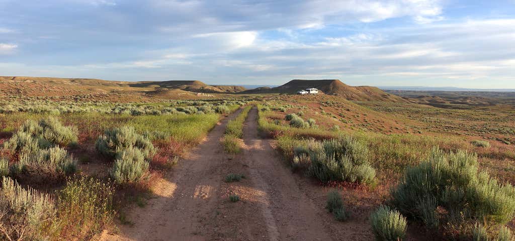 Photo of McCoy Flat Road Dispersed Camping