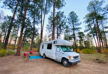 Photo of Turkey Springs Road Dispersed Camping