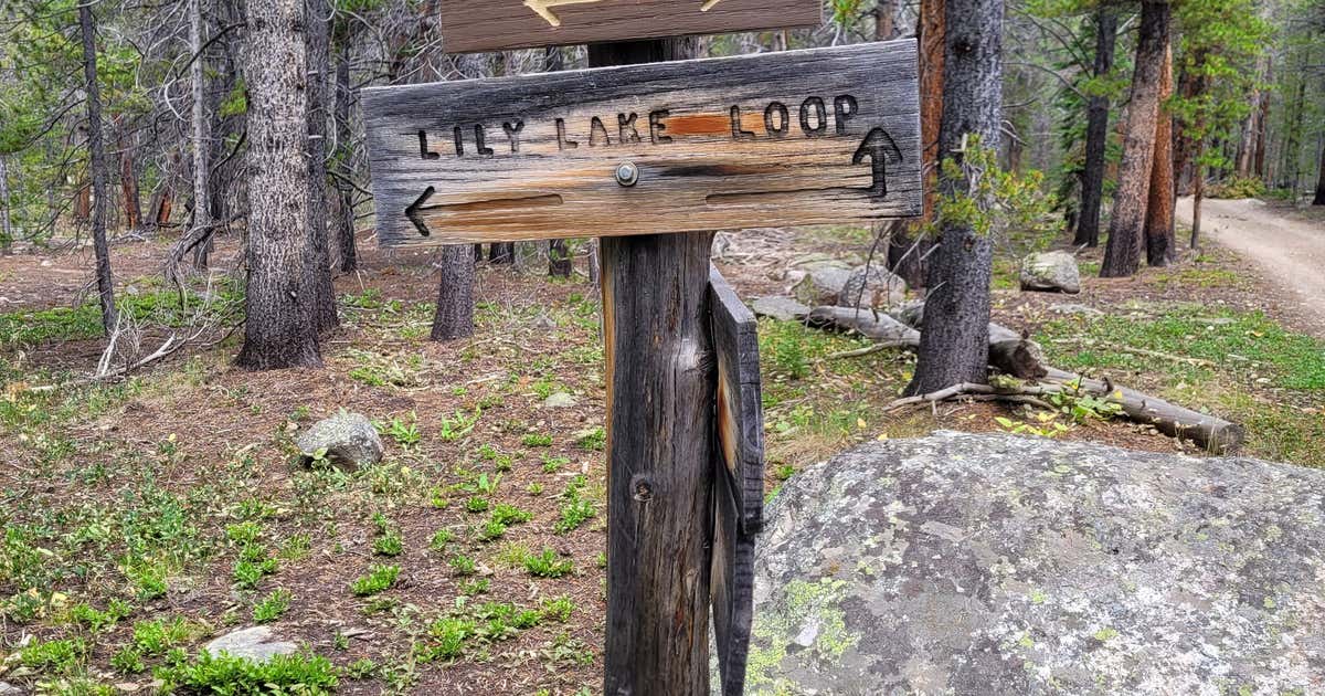 Lily Lake Dispersed Camping, Leadville Roadtrippers