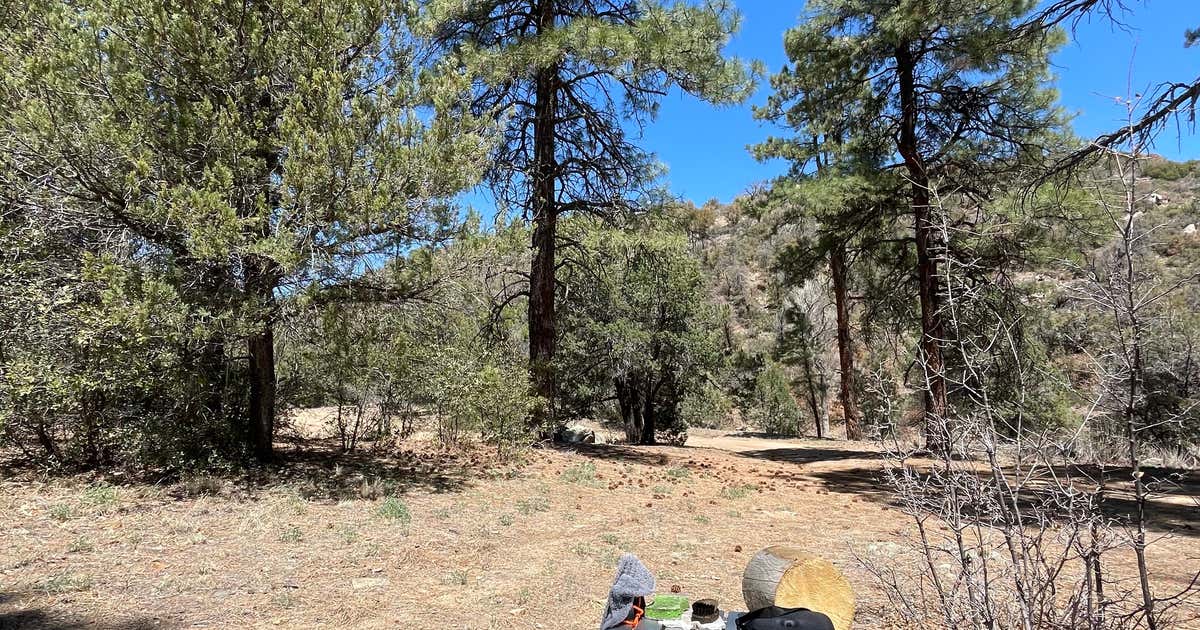 Burro Wallow Dispersed Camping Kirkland Roadtrippers