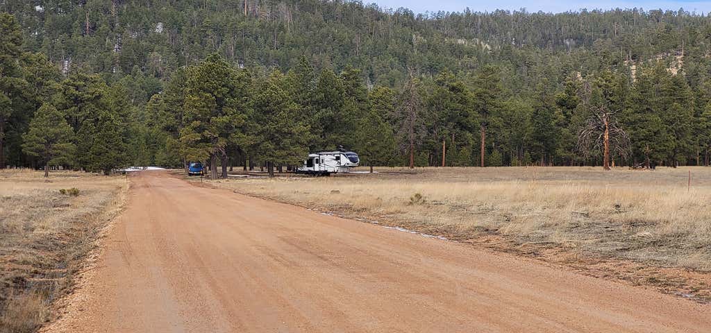 Photo of White Mountain Grasslands Dispersed Camping