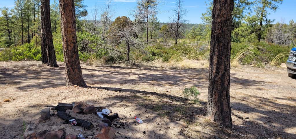 Photo of Rim Road South Dispersed Camping
