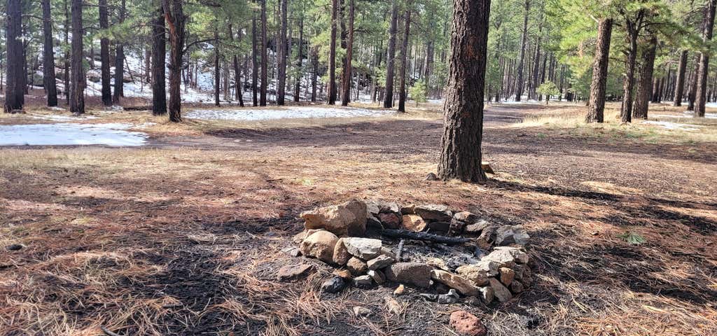 Photo of Fish Creek Bottoms Dispersed Camping