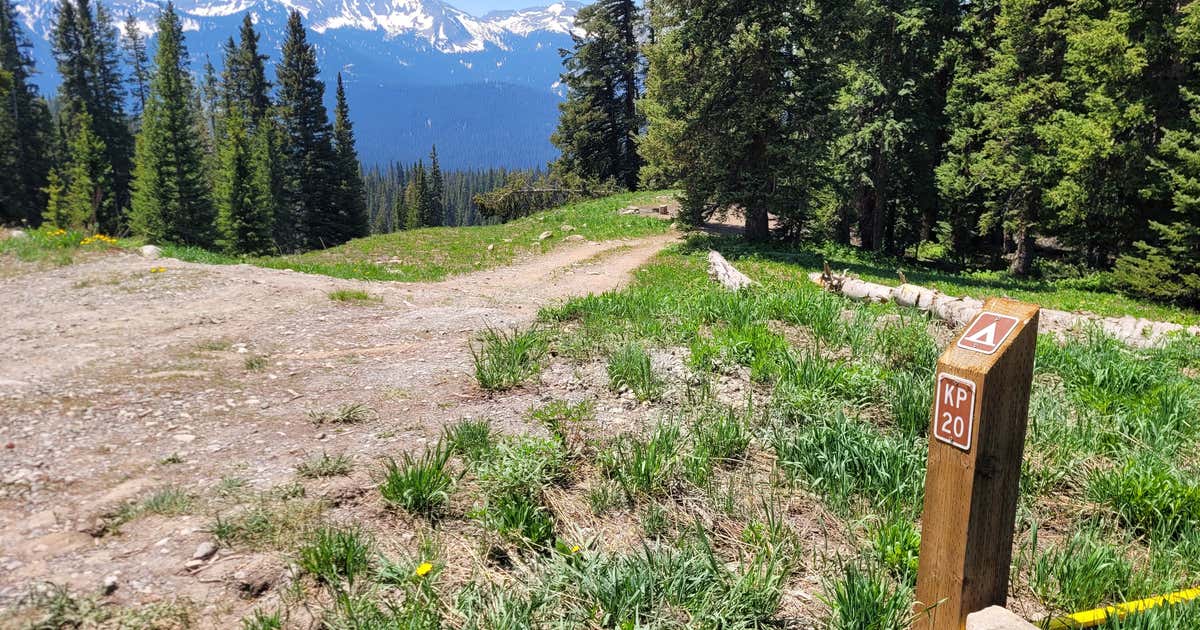 Kebler Pass Designated Dispersed Campsite 20, Crested Butte Roadtrippers