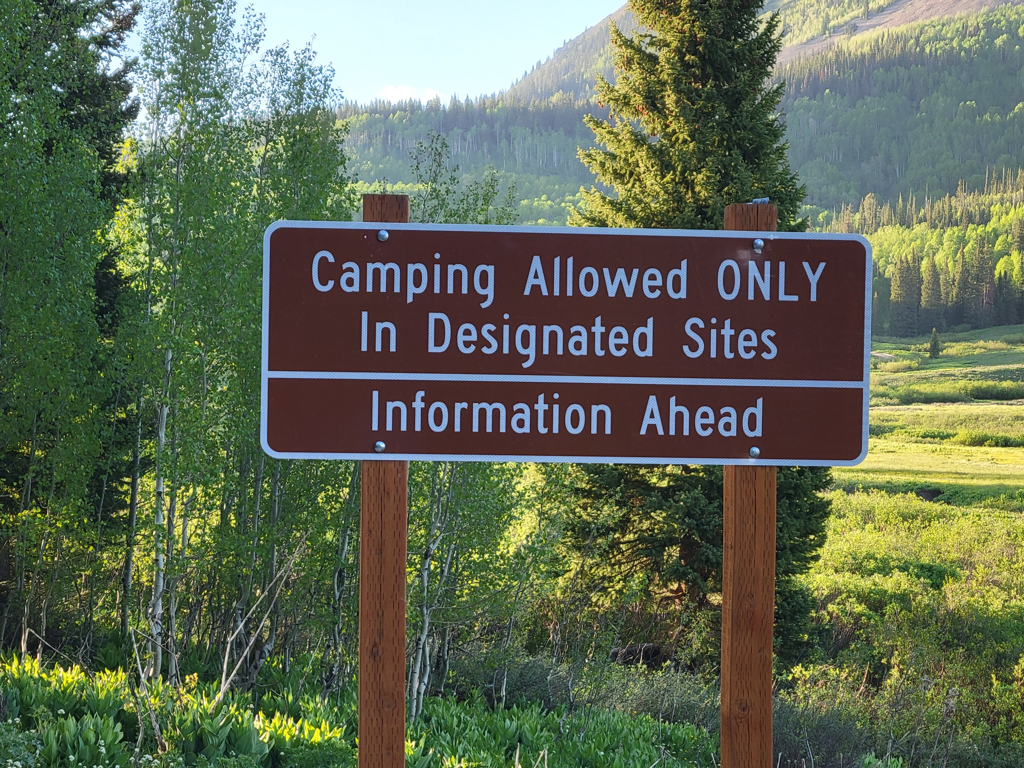 Washington Gulch Designated Dispersed Campsite #15, Crested Butte ...