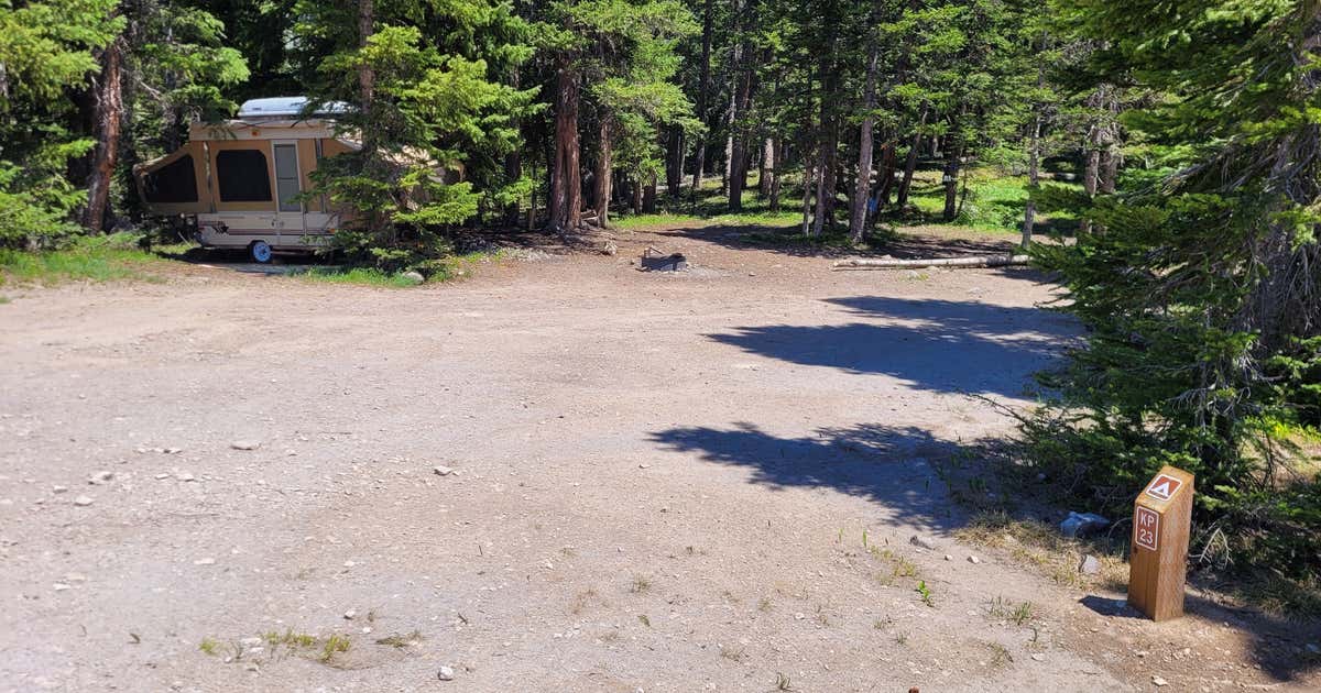 Kebler Pass Designated Dispersed Campsite 23, Crested Butte Roadtrippers