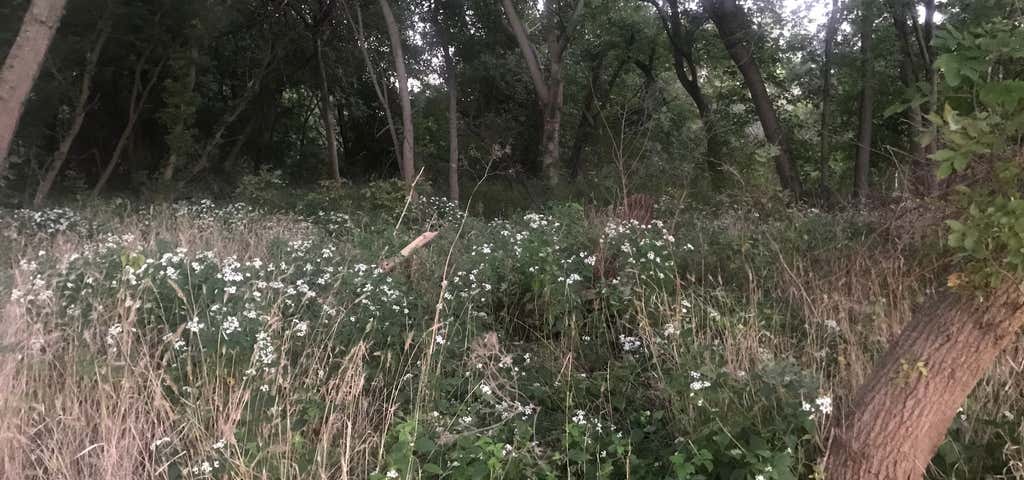 Photo of A.C. Nelson Camping Area 1