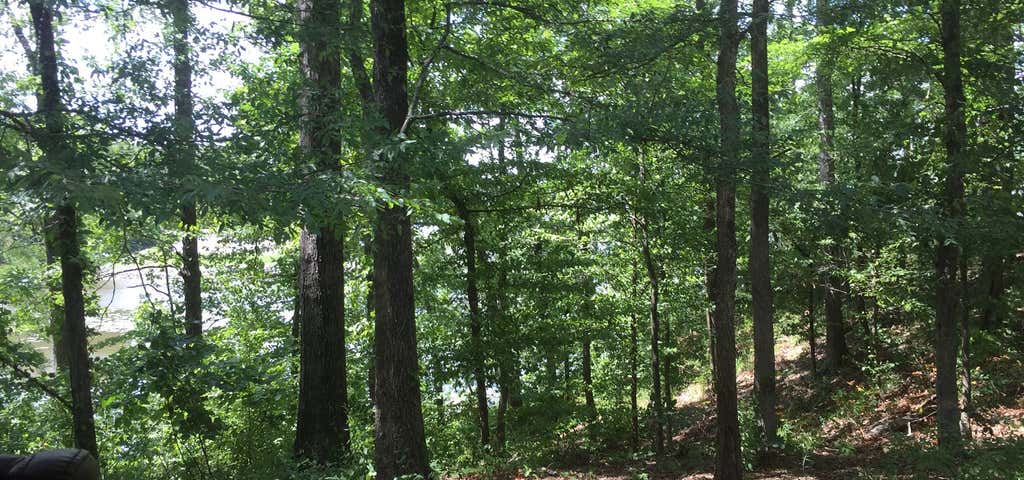 Photo of Cane Creek State Park Campground