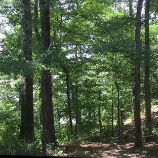 Cane Creek State Park Campground