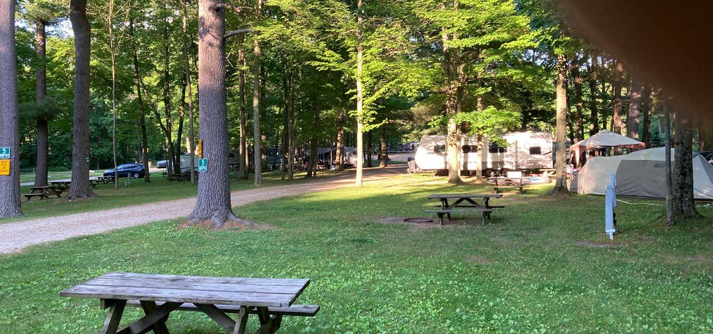 Photo of Gammy Woods Family Campground
