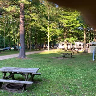 Gammy Woods Family Campground