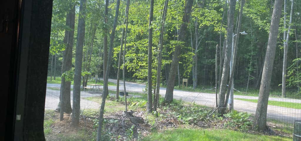 Photo of Brown County Reforestation Camp Campground