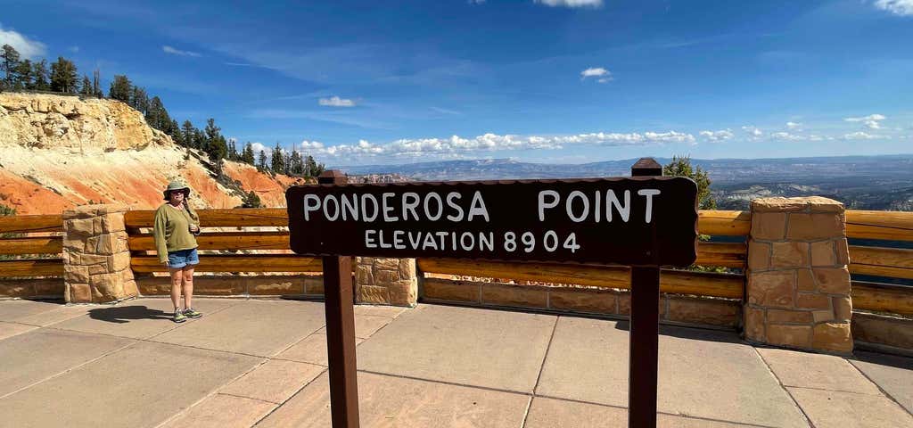 Photo of Ponderosa Canyon
