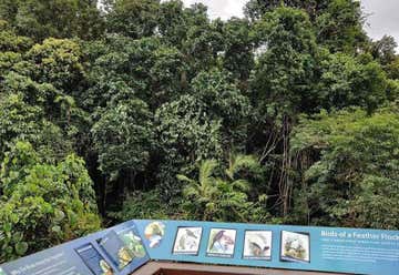 Photo of Daintree Discovery Centre