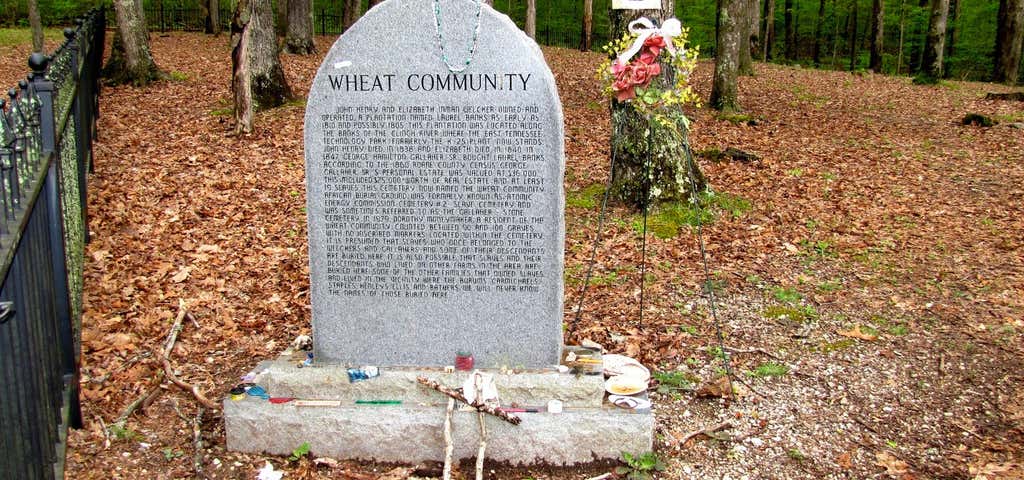 Photo of Wheat Community African Burial Ground
