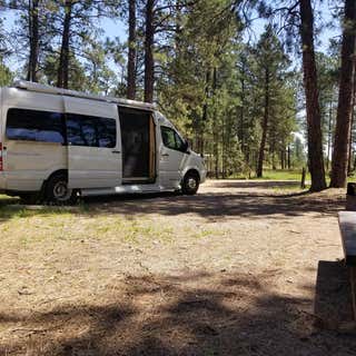 Bearlodge Campground